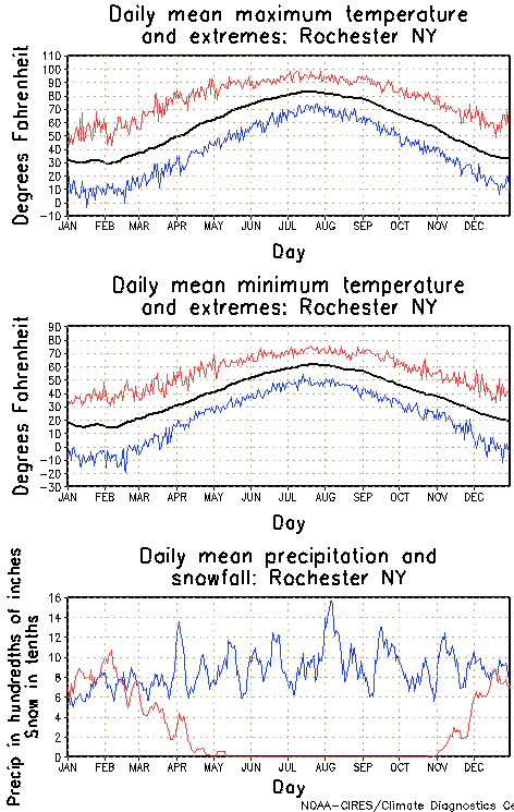 Rochester New York Annual Temperature Graph