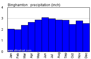 Binghamton New York Annual Precipitation Graph