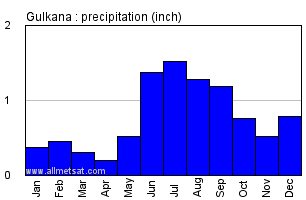 Gulkana Alaska Annual Precipitation Graph